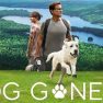 รีวิวหนัง Dog Gone (2023) หมาหลง