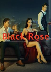 Black Rose ดูหนังเอเชีย