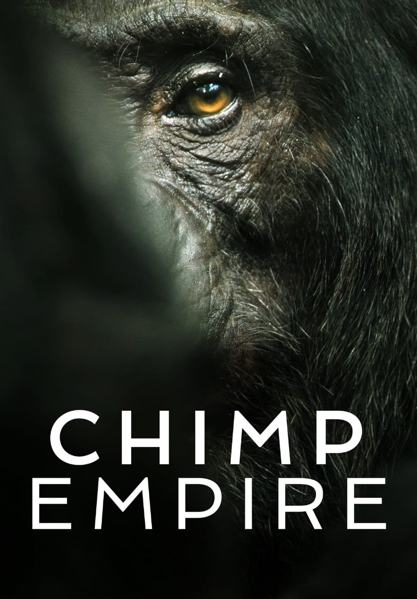 Chimp Empire (2023) อาณาจักรชิมแปนซี
